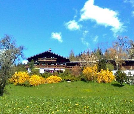 Biohof Schwanser Steinbach am Attersee Dış mekan fotoğraf