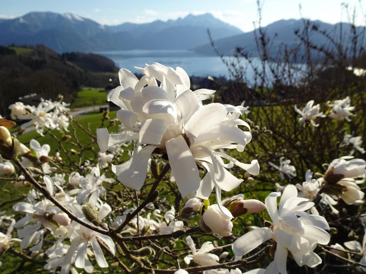 Biohof Schwanser Steinbach am Attersee Dış mekan fotoğraf