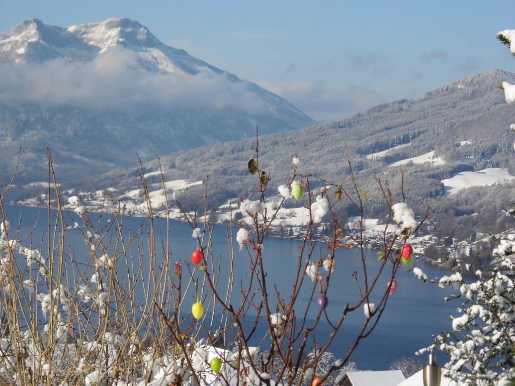 Biohof Schwanser Steinbach am Attersee Dış mekan fotoğraf