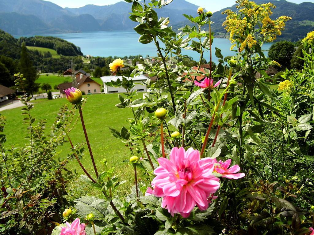 Biohof Schwanser Steinbach am Attersee Dış mekan fotoğraf