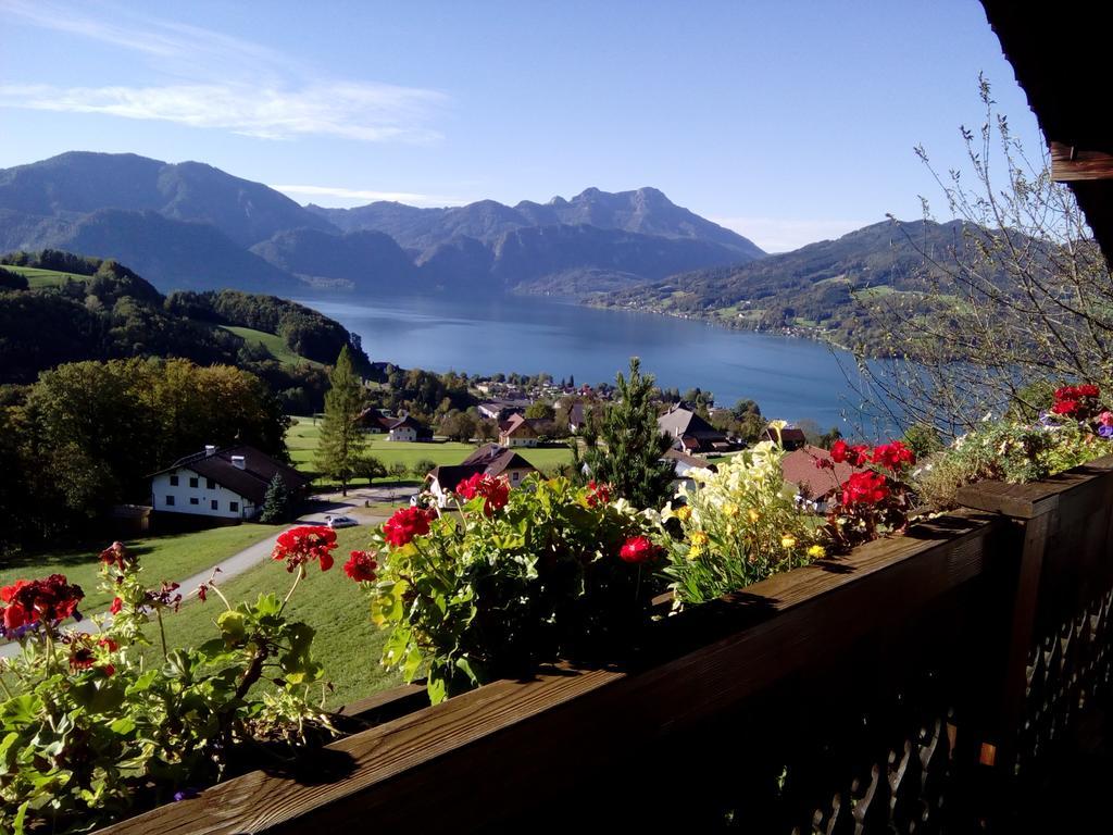 Biohof Schwanser Steinbach am Attersee Dış mekan fotoğraf