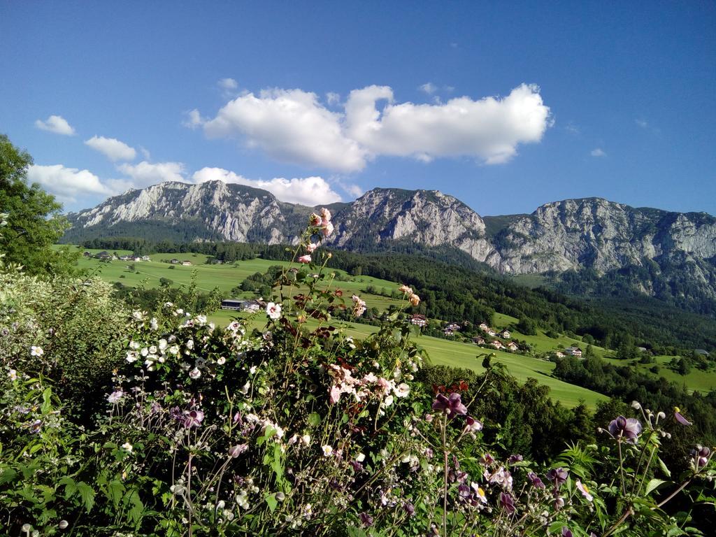 Biohof Schwanser Steinbach am Attersee Dış mekan fotoğraf