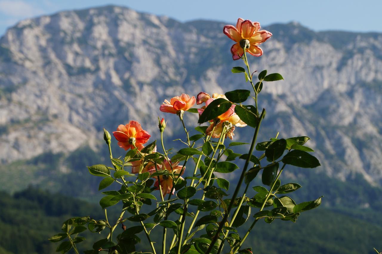 Biohof Schwanser Steinbach am Attersee Dış mekan fotoğraf