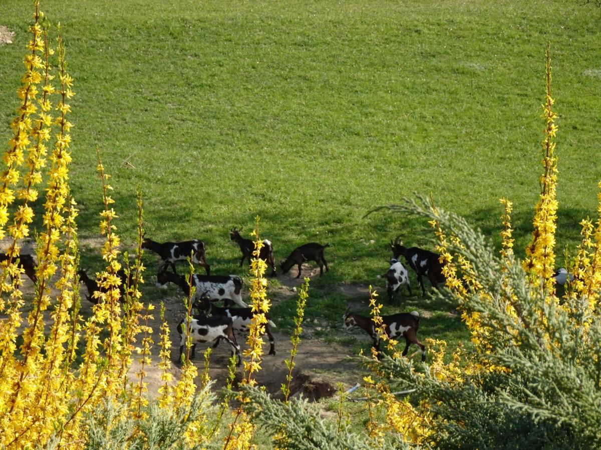 Biohof Schwanser Steinbach am Attersee Dış mekan fotoğraf