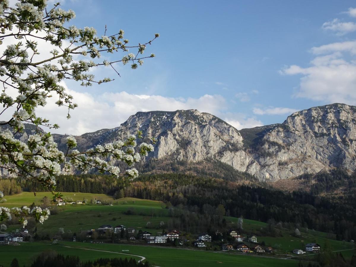 Biohof Schwanser Steinbach am Attersee Dış mekan fotoğraf